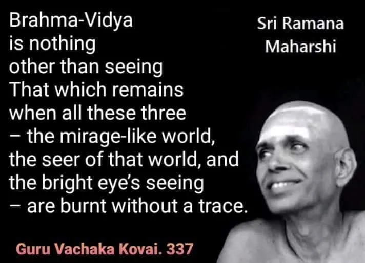 Brahma-Vidya  is nothing other than seeing That which remains