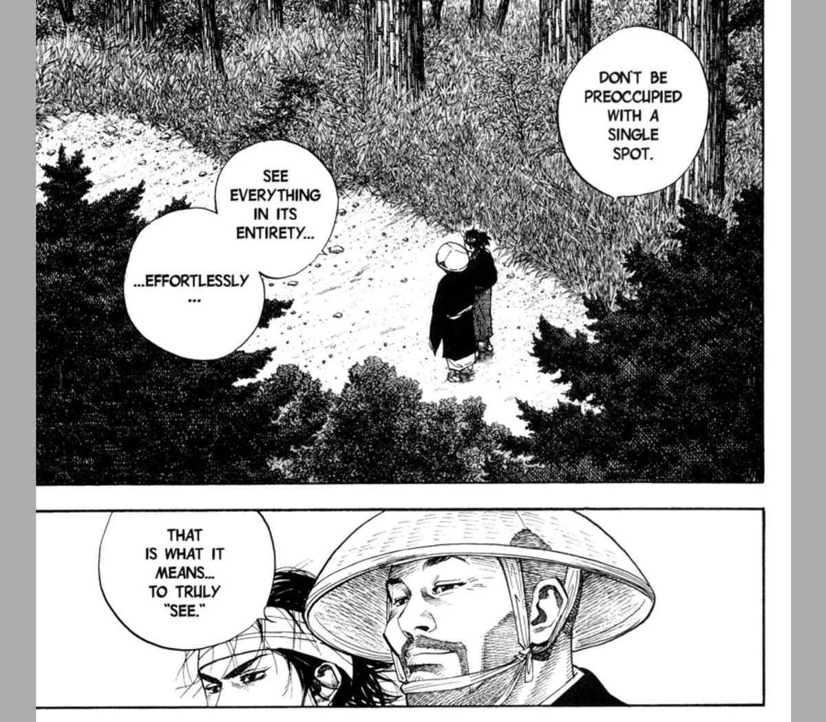 See everything in its entirety to truely see