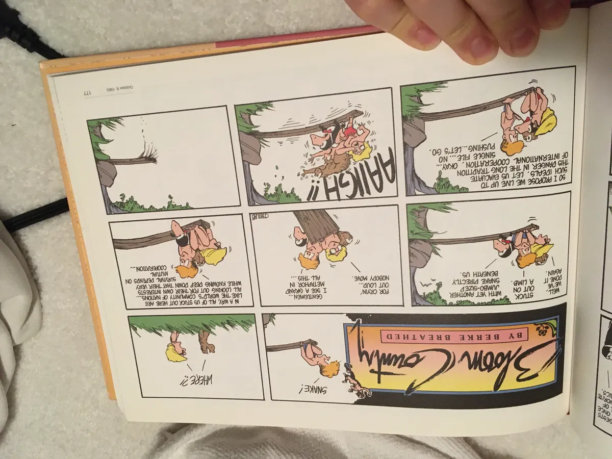 Bloom County — Snake and International Cooperation